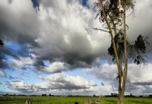 BOB体育：马卡：巴黎在寻机报复“皇马挖走姆巴佩”，想从皇马青训营挖人.