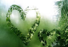 BOB体育：郑钦文取得澳网开门红人民日报客户端.