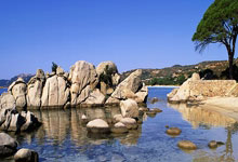 [高尔夫]伍兹宣布退出捷尼赛思邀请赛 将作为东道主出席.